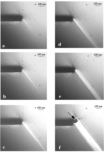 first loading images